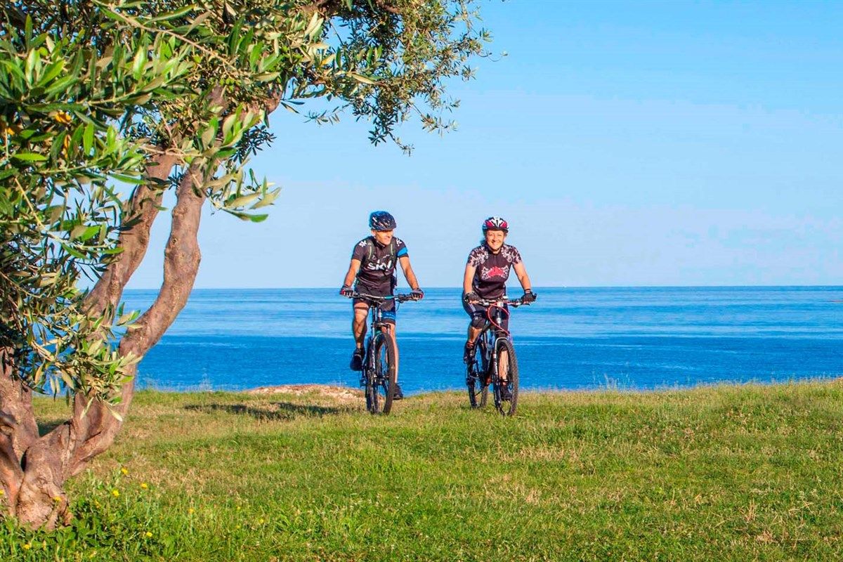 Urlop na sportowo – Camping Zelena Laguna – główne zdjęcie