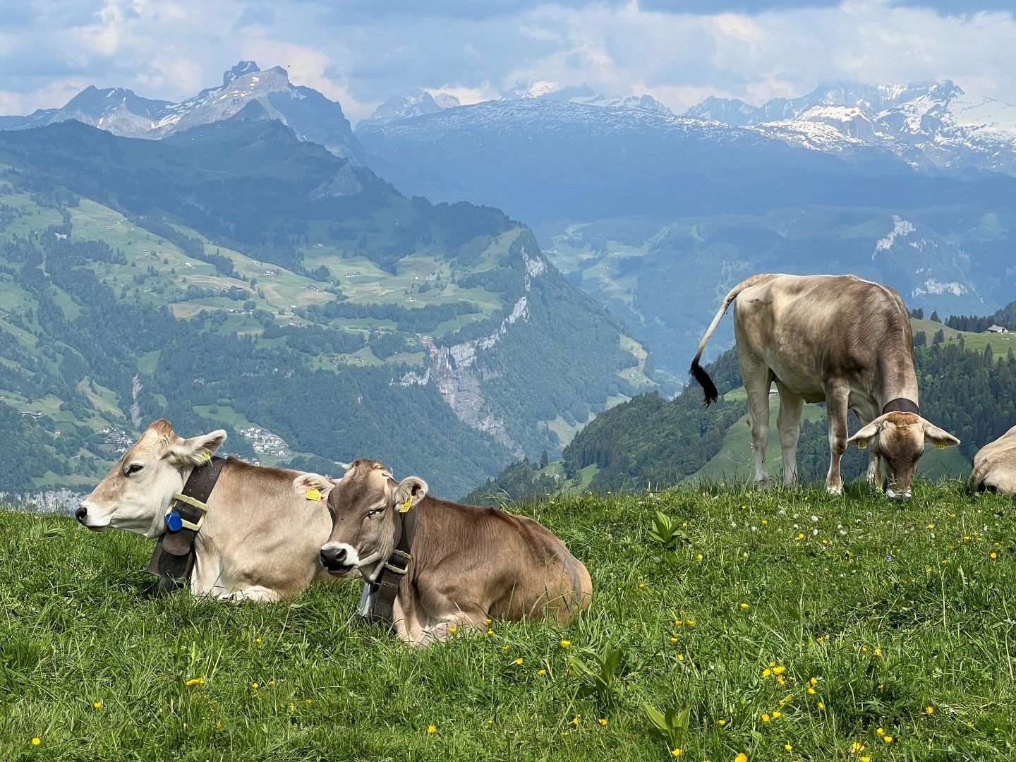 Motorhome around Switzerland - a ready route along selected sections of the Grand Tour of Switzerland – image 21