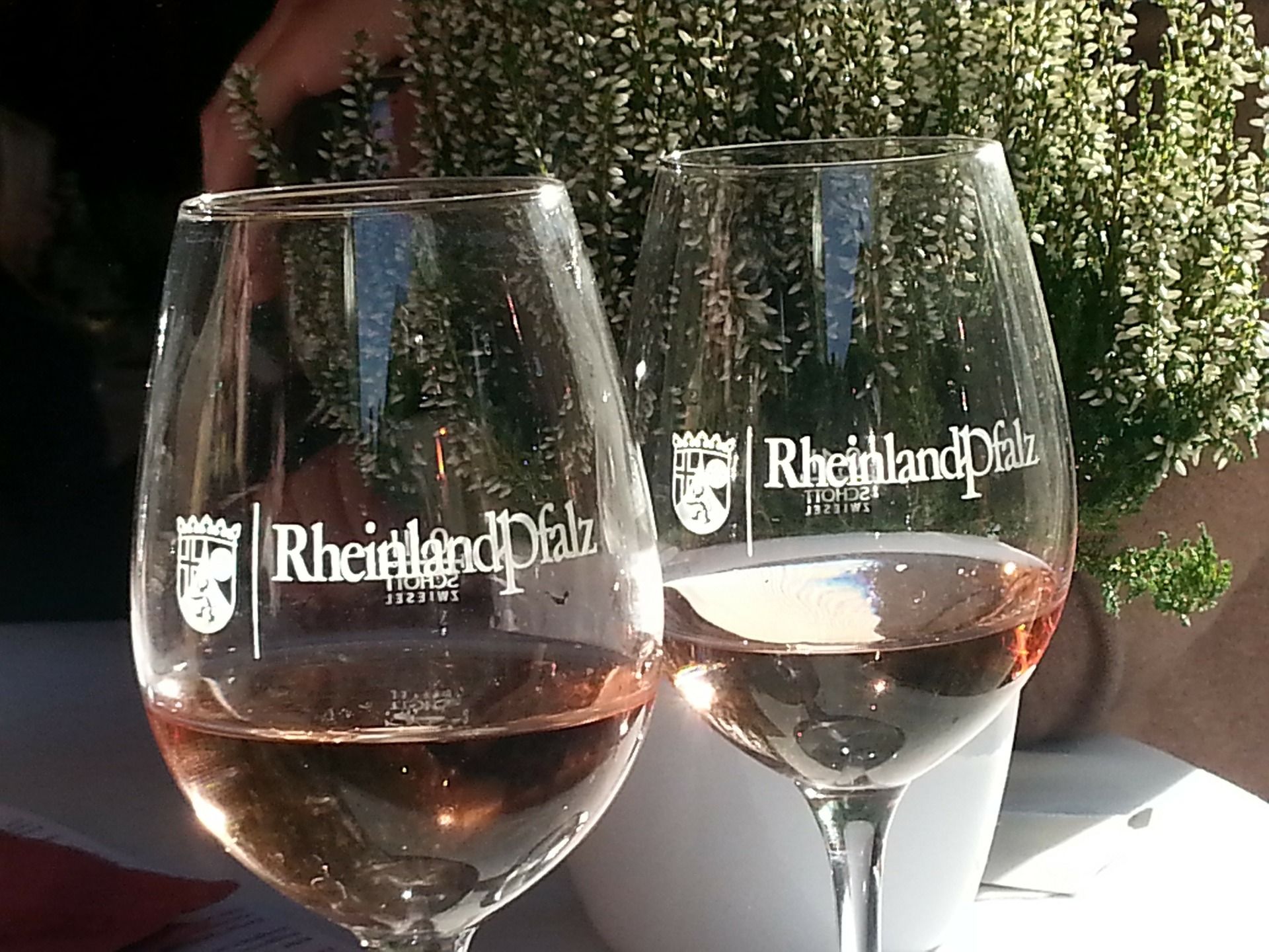 Rhineland-Palatinate - a land flowing with wine – main image