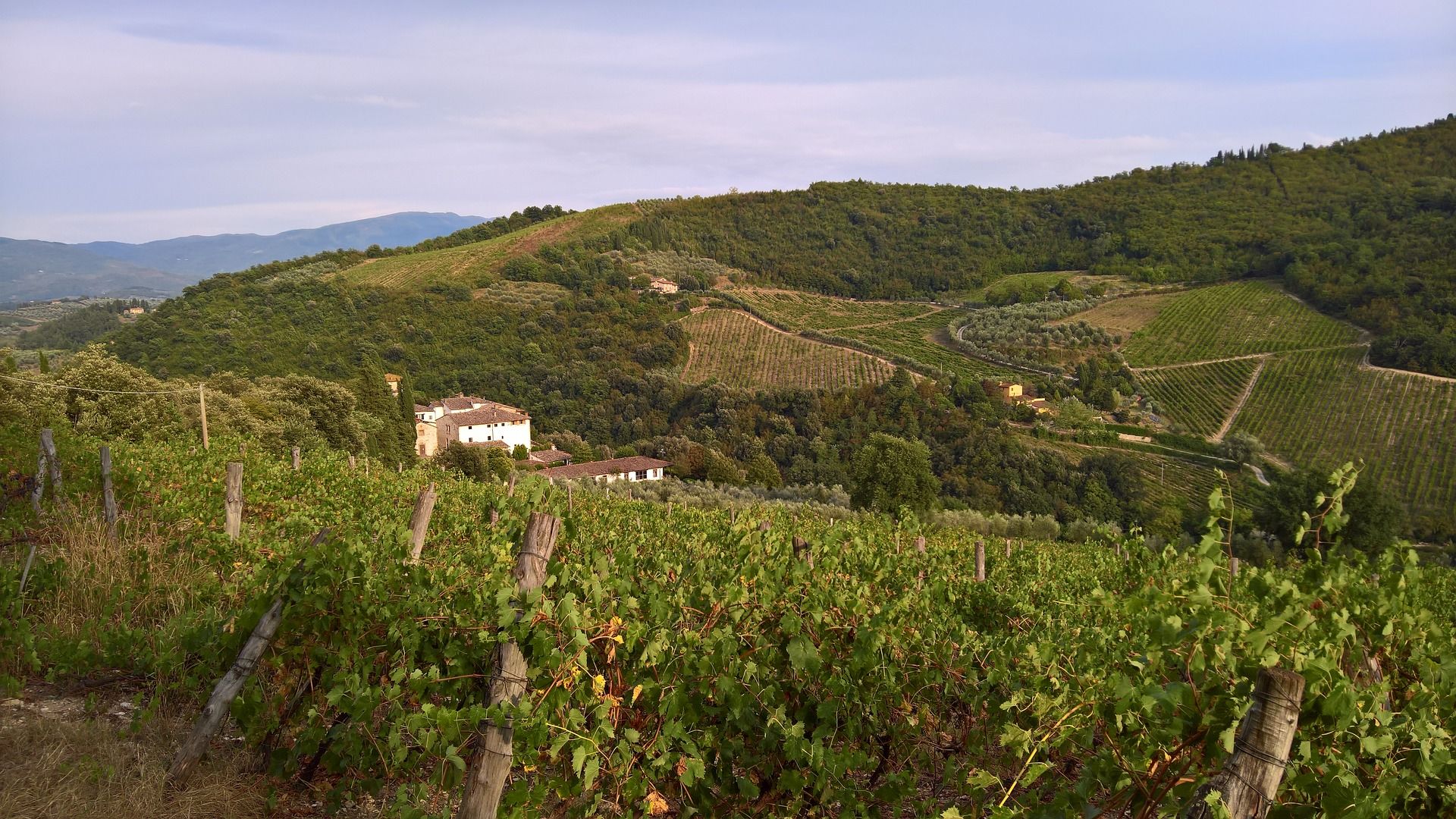 Maremma wine routes – main image