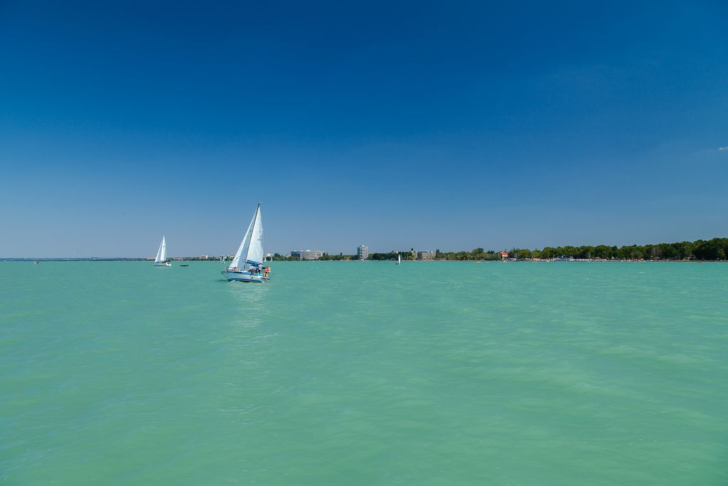 Ptaki i ludzie kochają Balaton! – główne zdjęcie