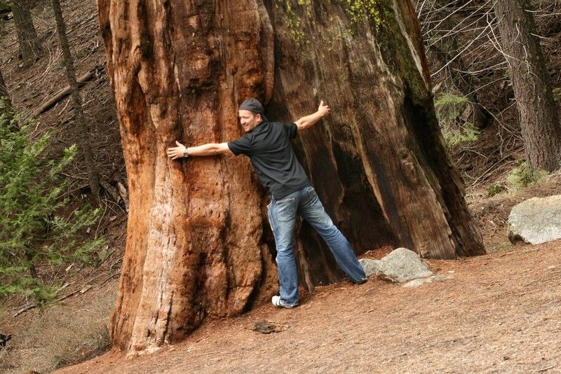 Ameryka Samochodem cz. 7/10 - Yosemite National Park – główne zdjęcie