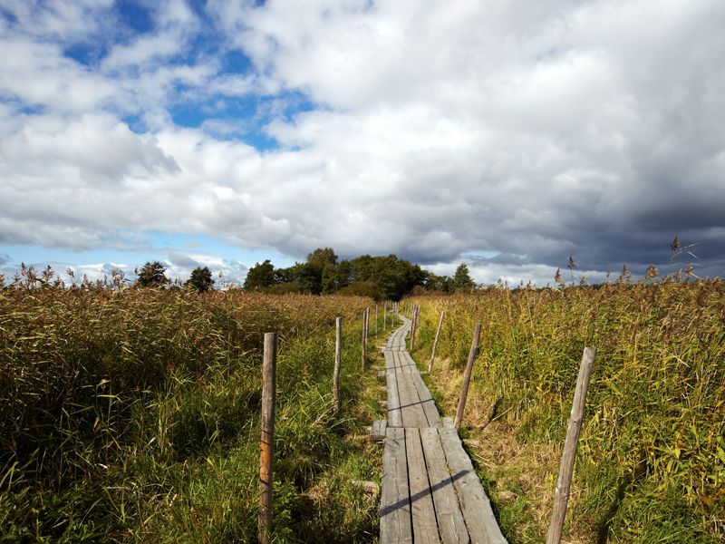 Finlandia - Kotka – główne zdjęcie