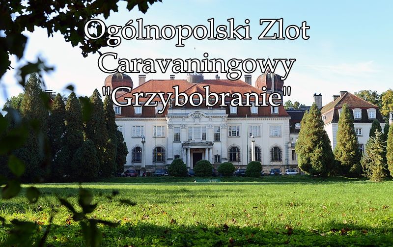 Ogólnopolski Zlot Caravaningowy "Grzybobranie" – główne zdjęcie