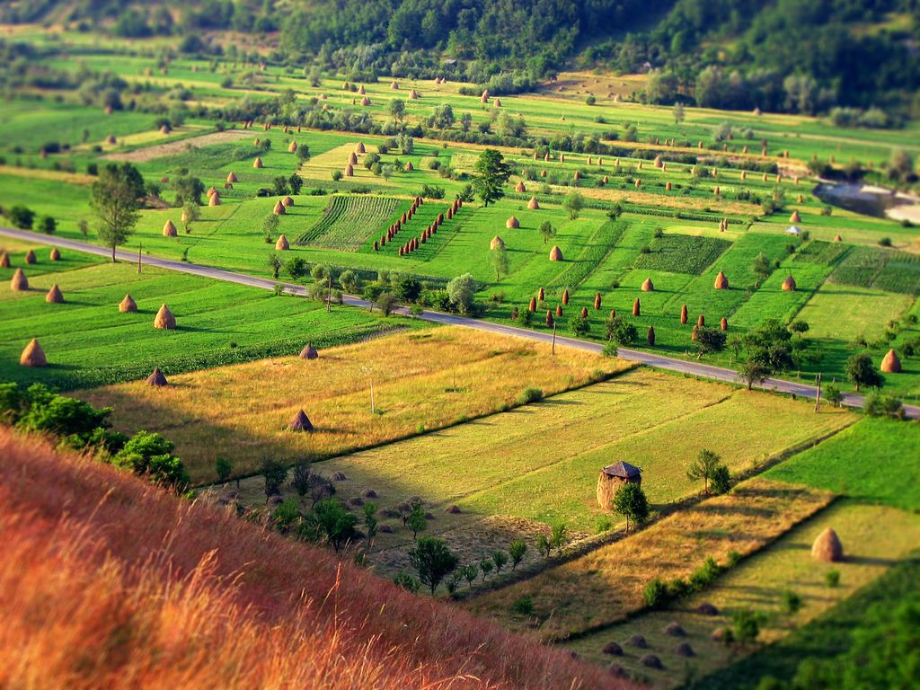 A trip to the Romanian mountains - Maramures – main image