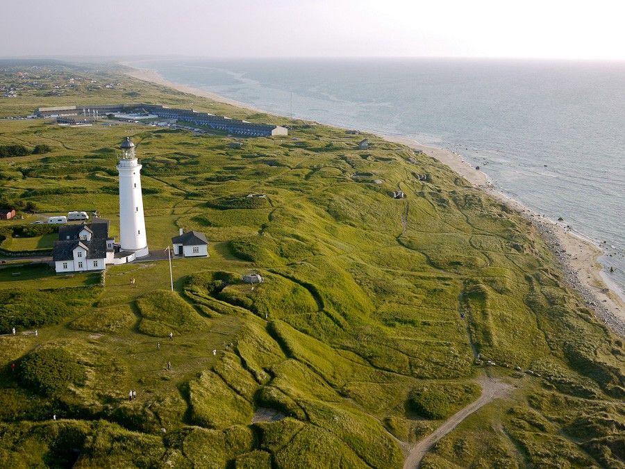 Samogłowy z Hirtshals – główne zdjęcie