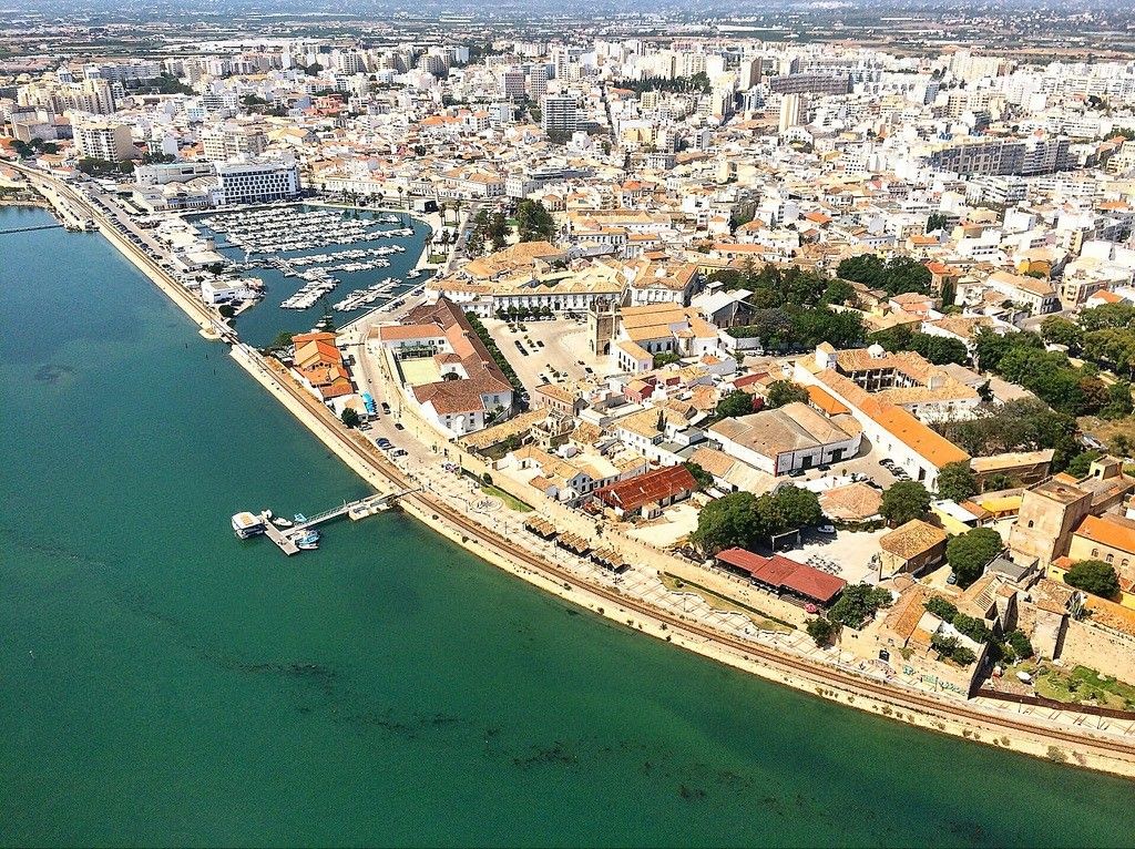 Water dog from Faro – main image