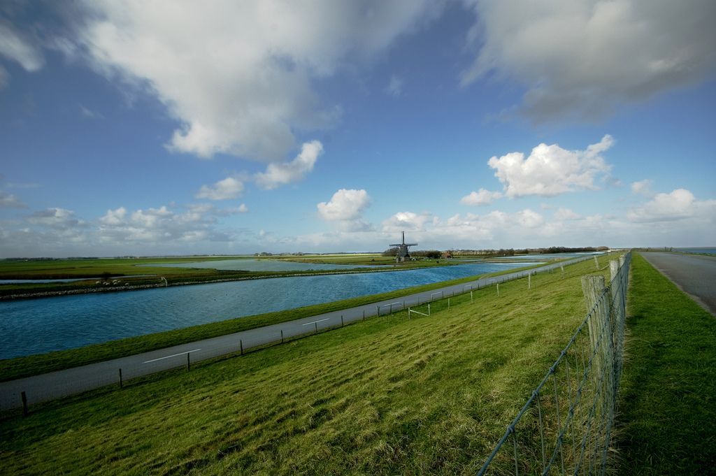 Texel - the island of rabbits – main image