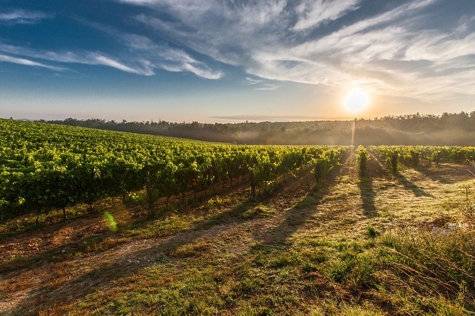 Holidays with art under the Tuscan sun – main image