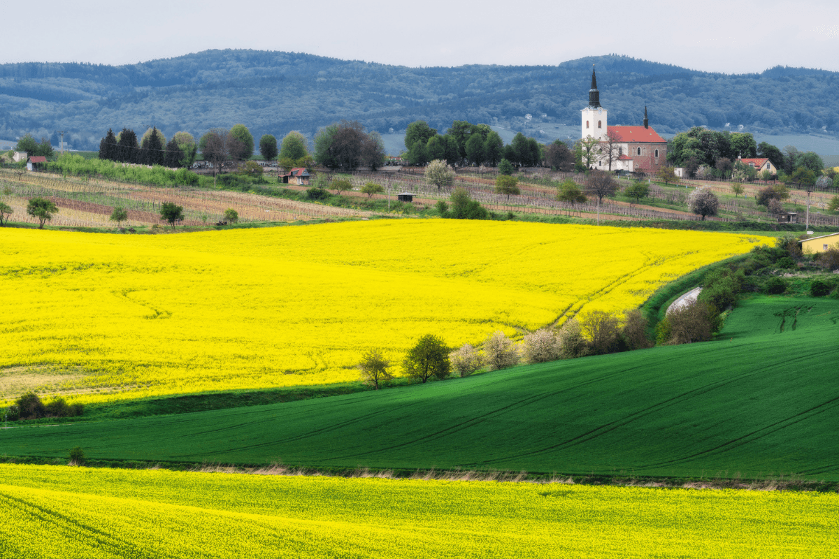 Castles on the Orlica River – main image