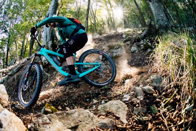 Camping dei Fiori in Liguria. A holiday among olive groves, near the sea and mountain biking trails. – main image