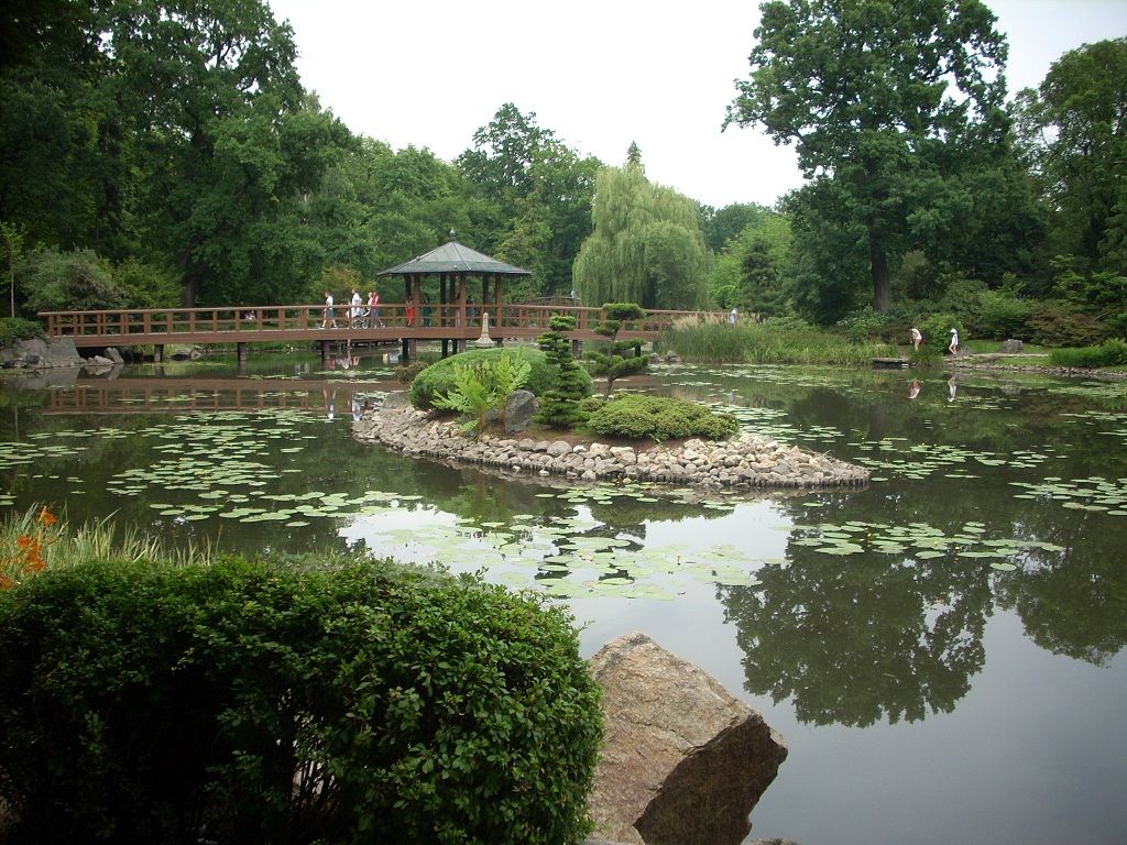 Japanese-garden-photo-przemek-klisjpg