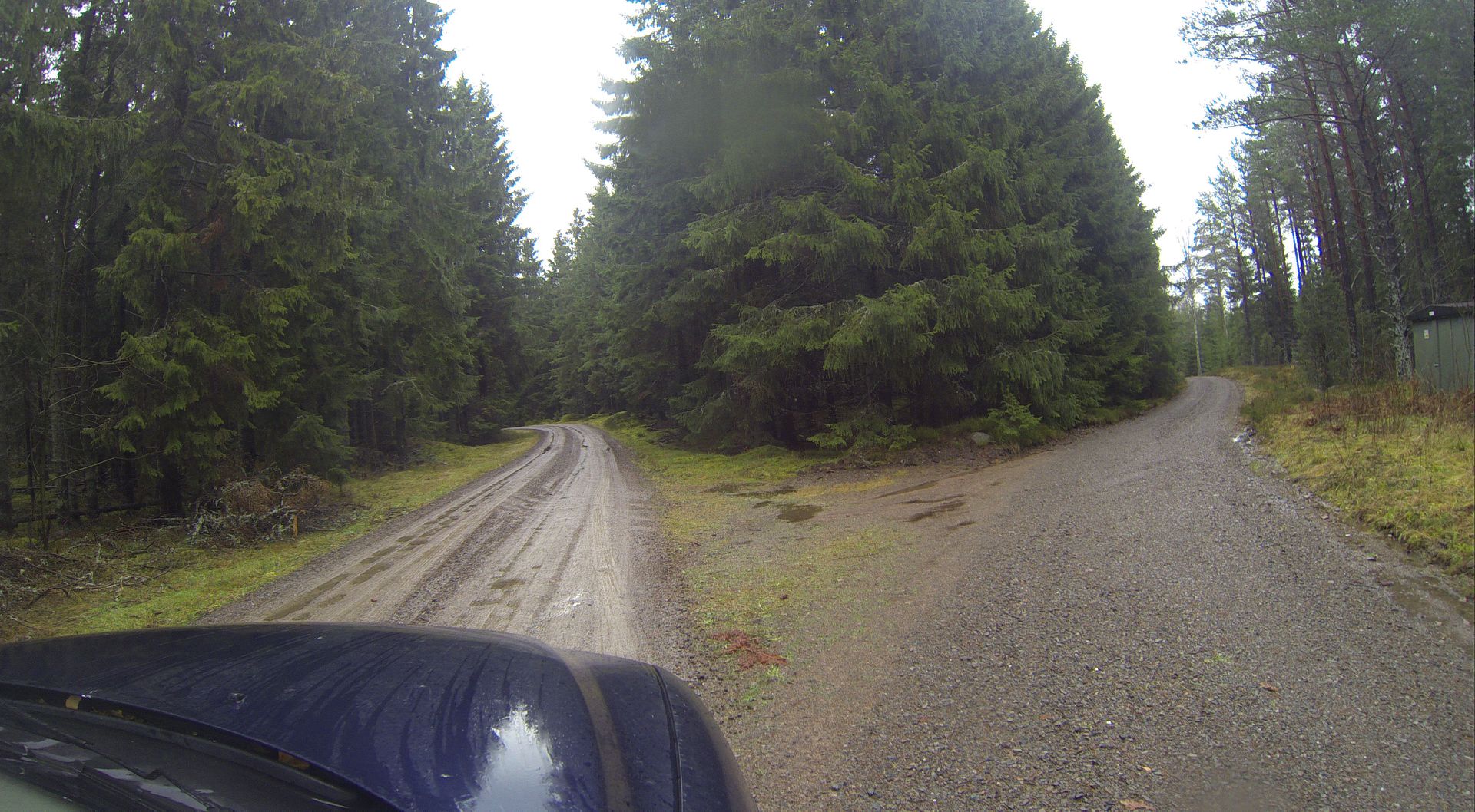 g0055212jpg