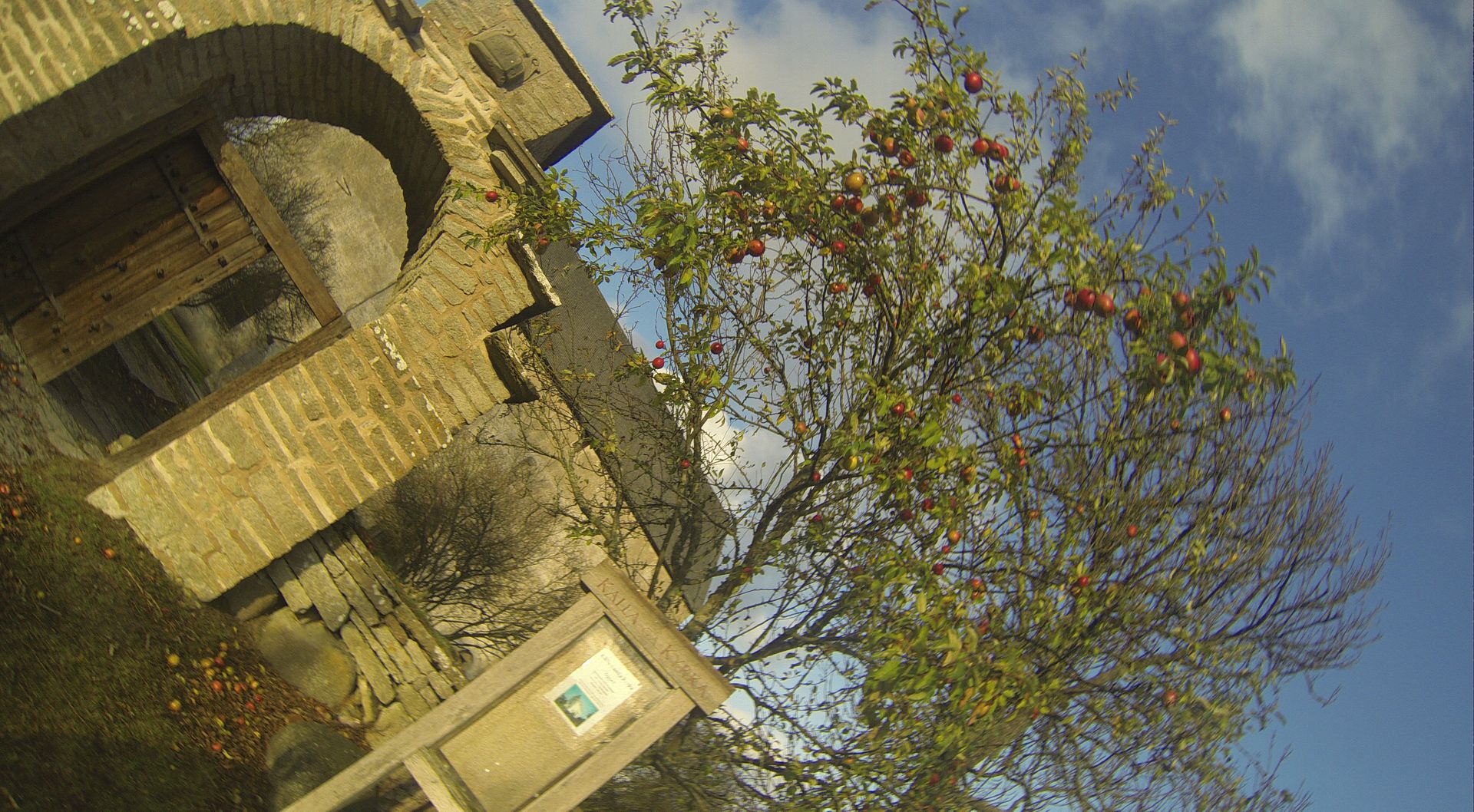 g0895651jpg