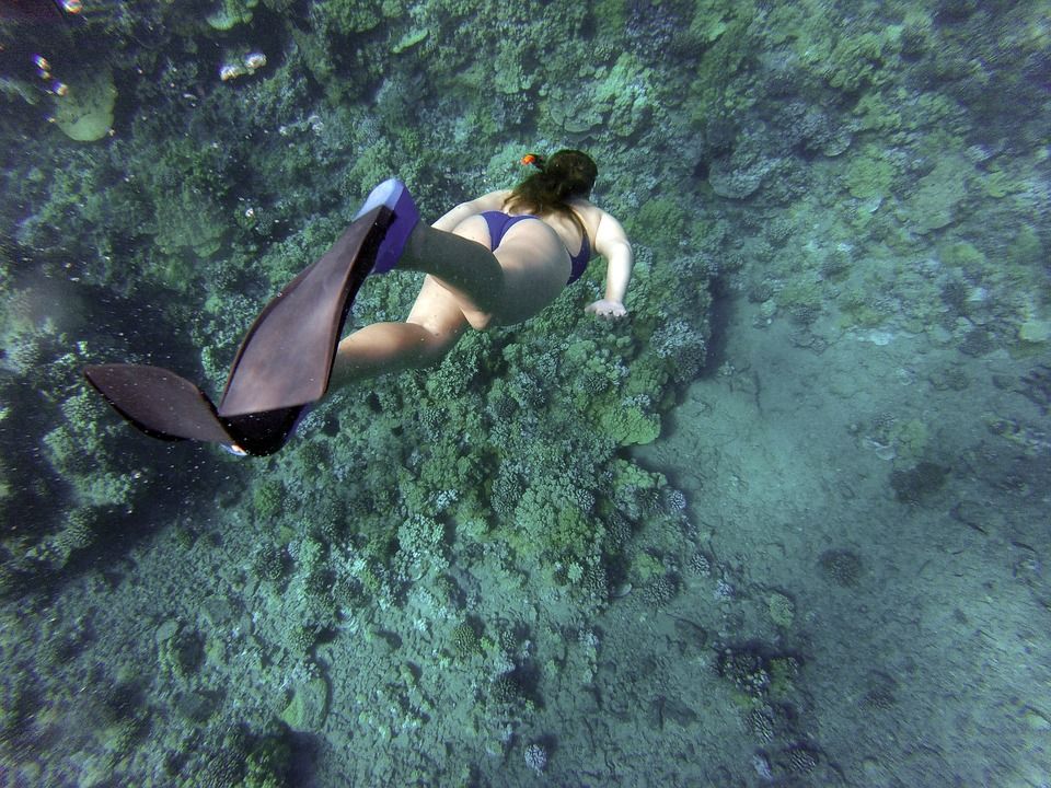 snorkeling3jpg