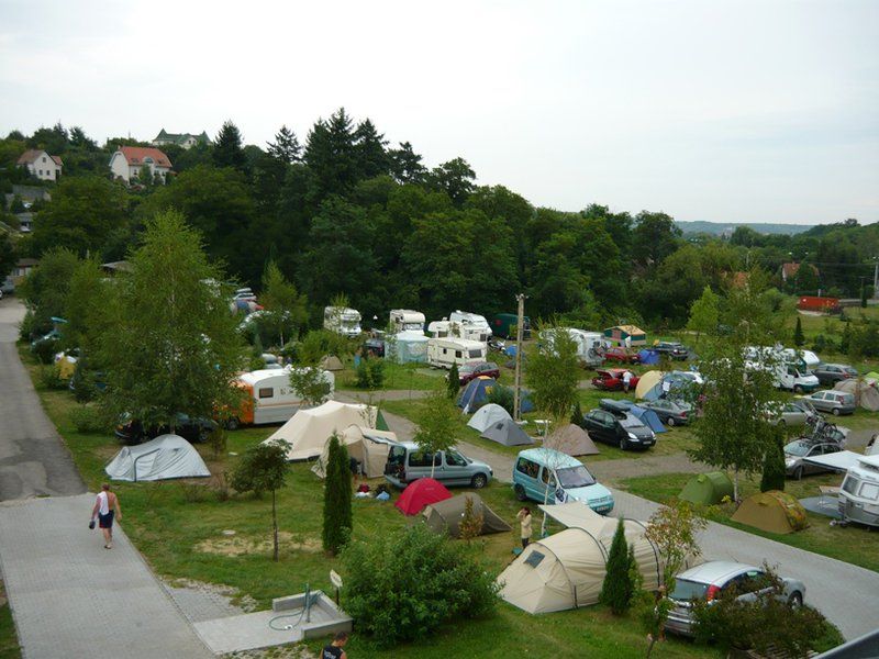 tulipan-camping1jpg