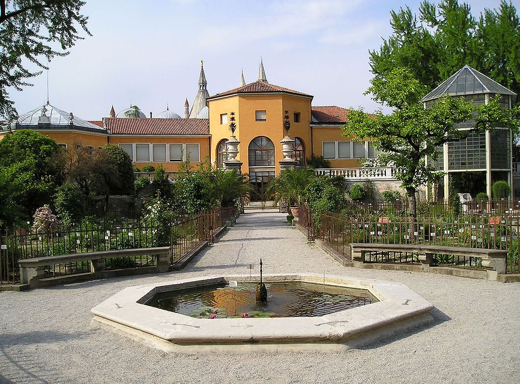 orto-botanica-di-padova-semolo75-uploadwikimediaorg-cc0jpg