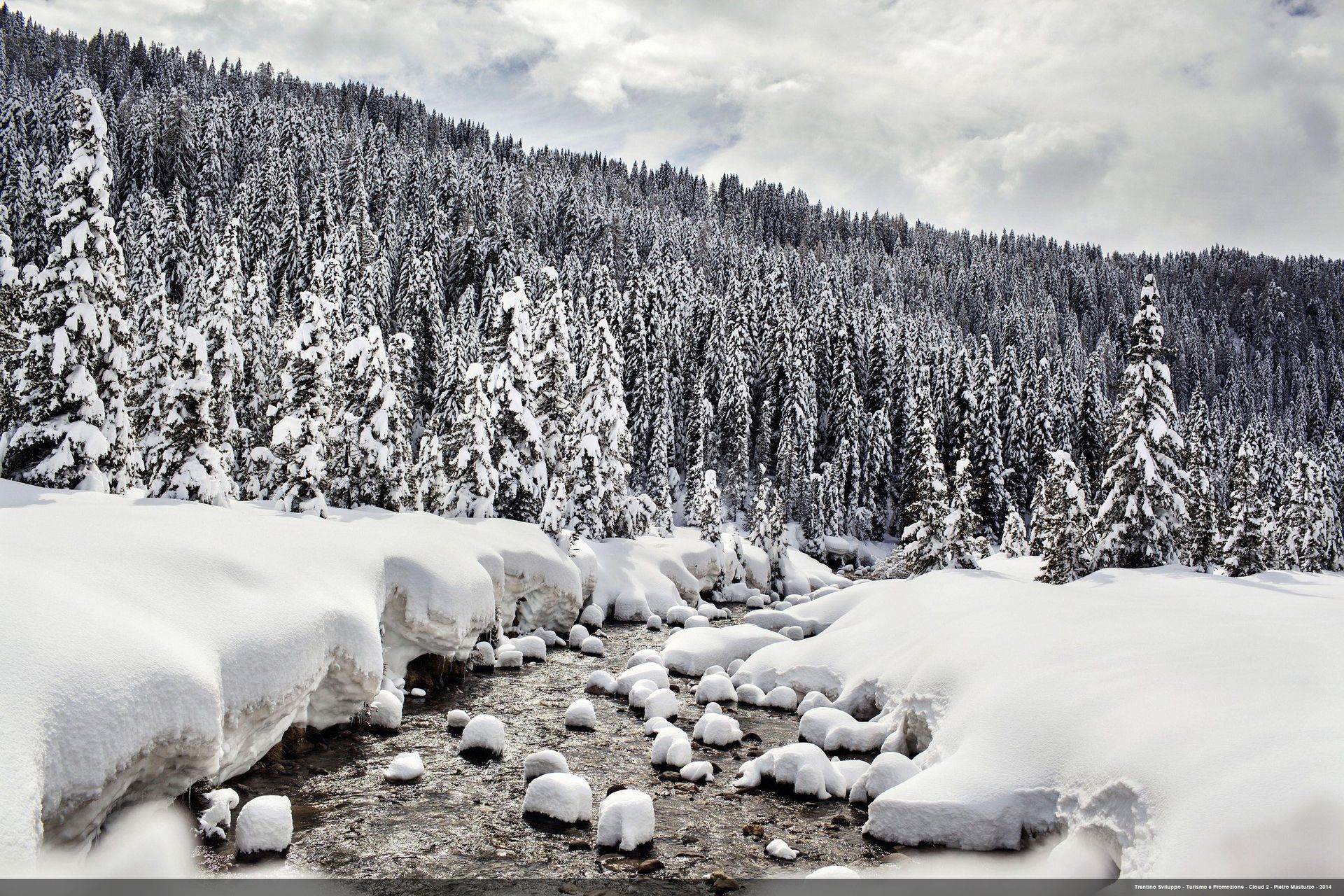 pietro-masturzo-san-martino-di-castrozza-val-venegia-snowy-torrentjpg