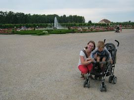 Lithuania - Latvia - Estonia 2012 – image 23