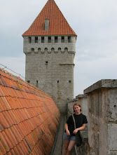 Lithuania - Latvia - Estonia 2012 – image 72