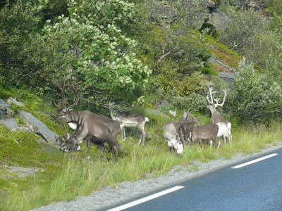 NORWAY 2009 – image 9