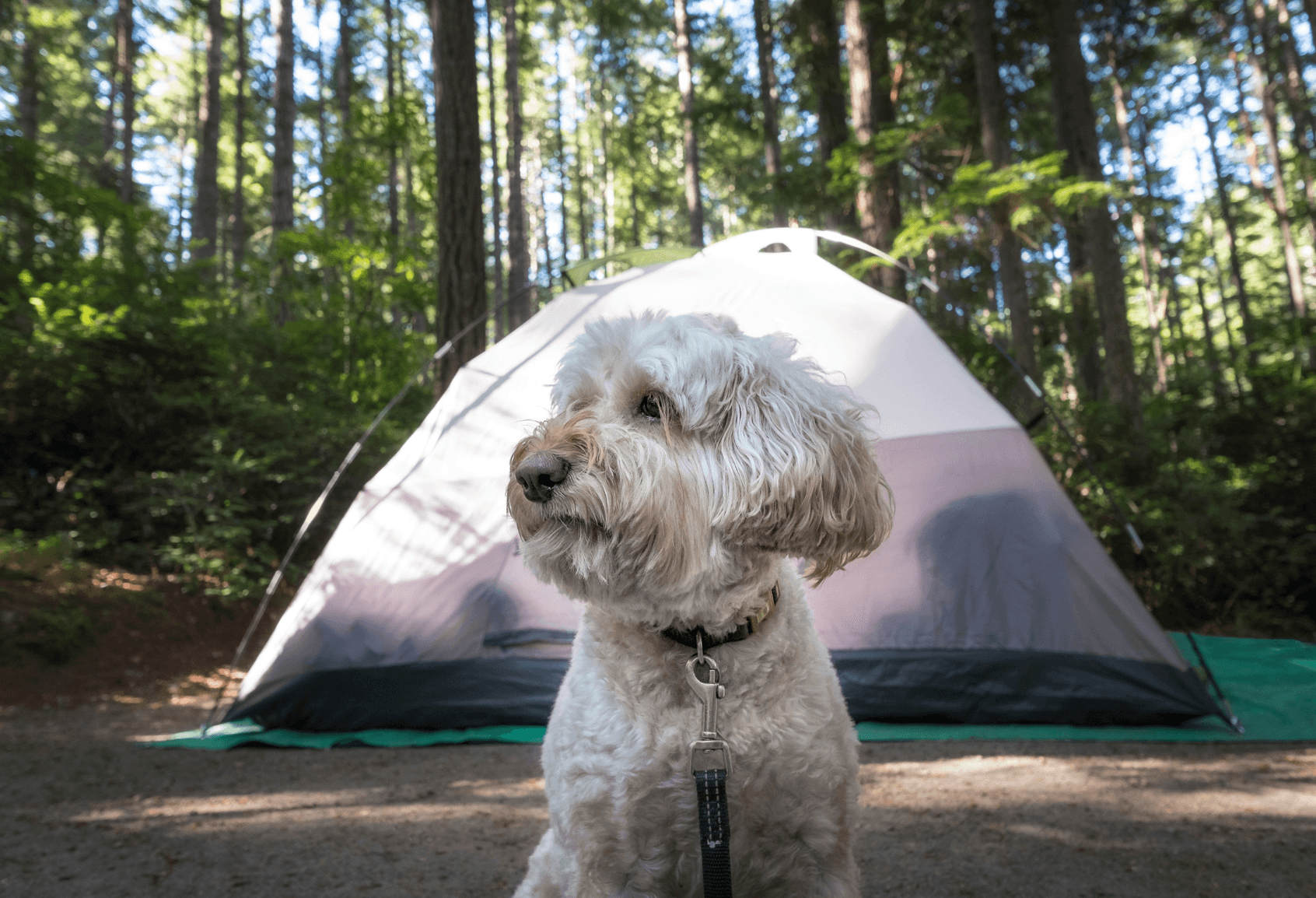 How to be a good neighbor at the campsite? – image 2