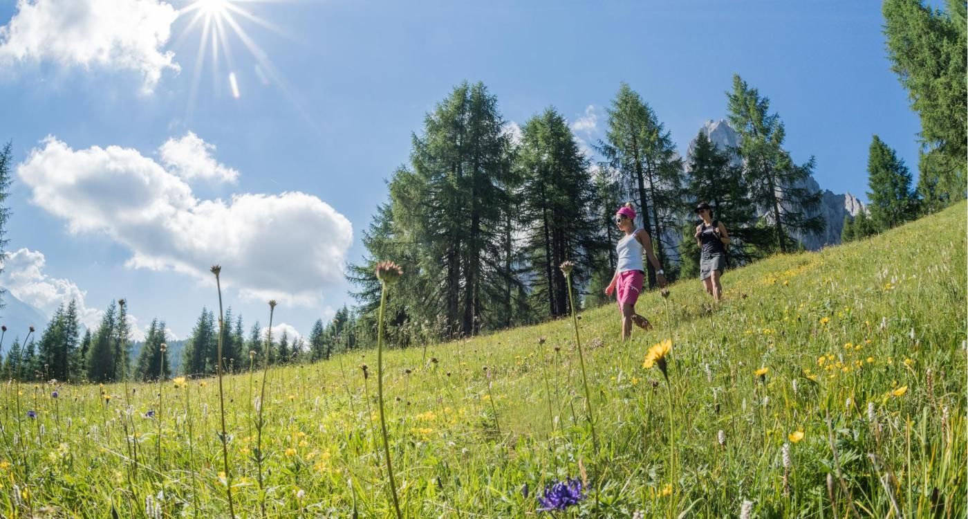 Nowoczesność i ekologia na Caravan Park Sexten – zdjęcie 4