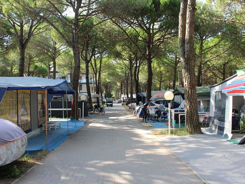 Residence Village - relax in the shade of pine trees – image 2