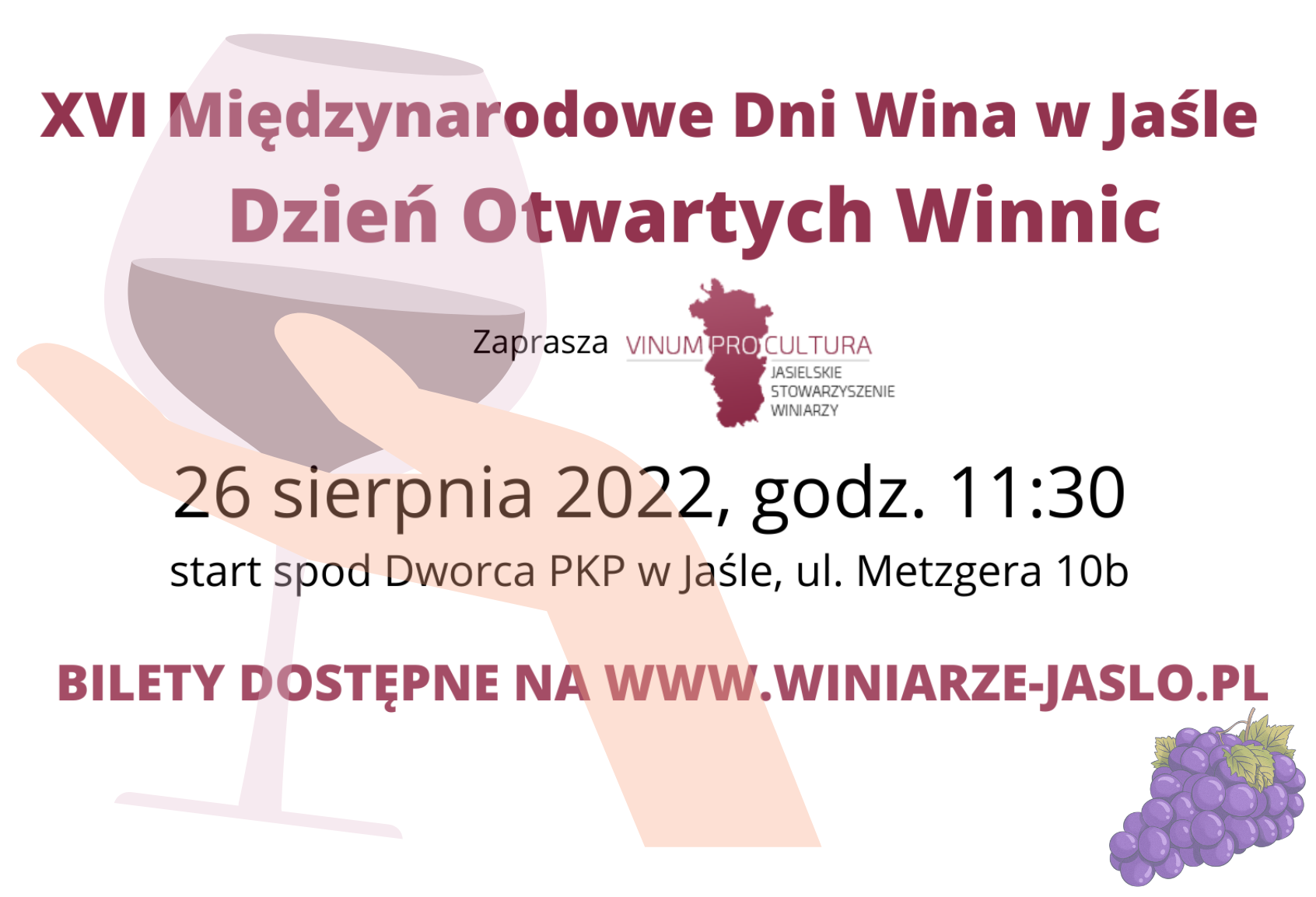 Open Vineyards Day at the 16th International Wine Days in Jasło – image 1