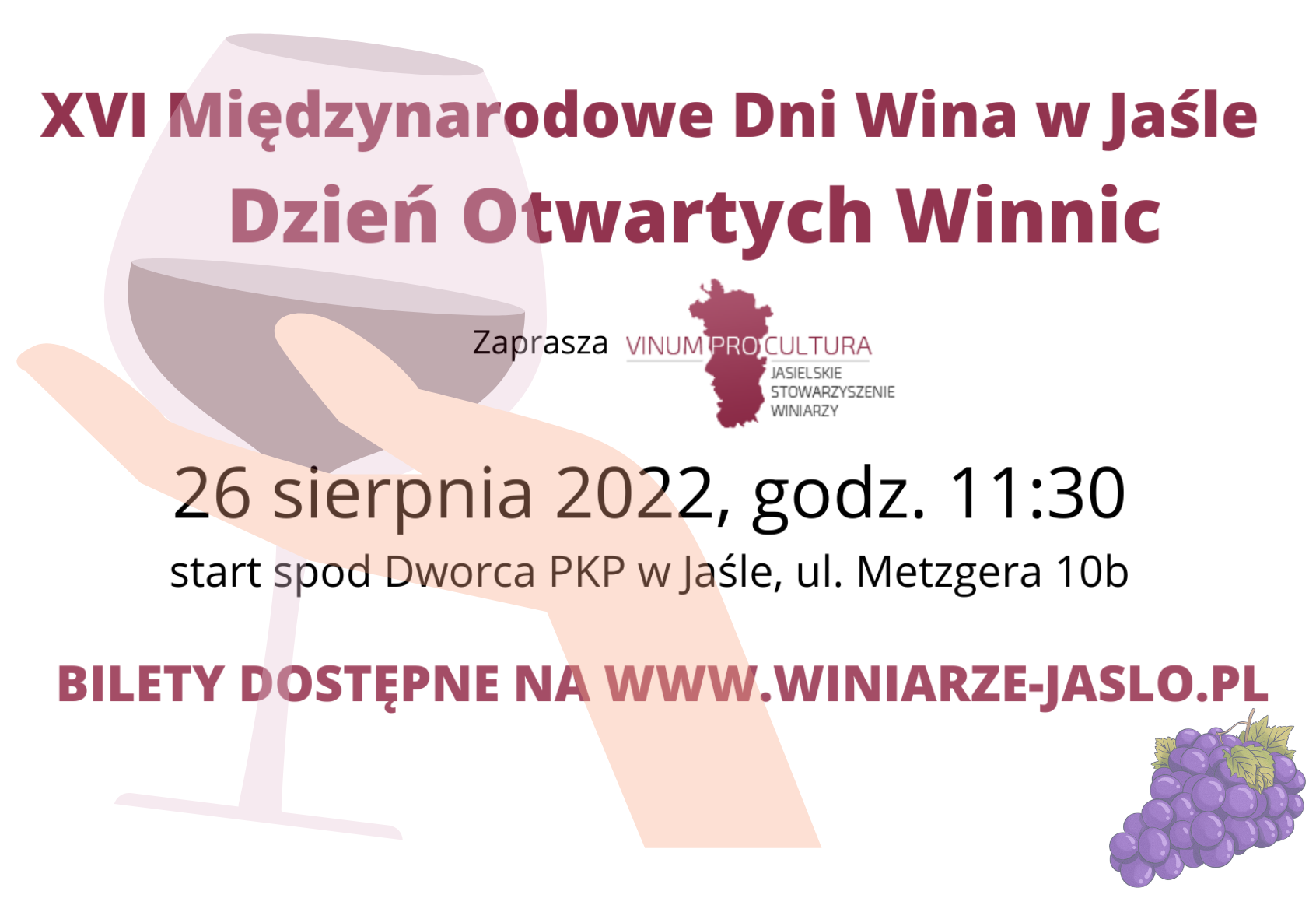 Dzień Otwartych Winnic na XVI Międzynarodowych Dniach Wina w Jaśle – główne zdjęcie