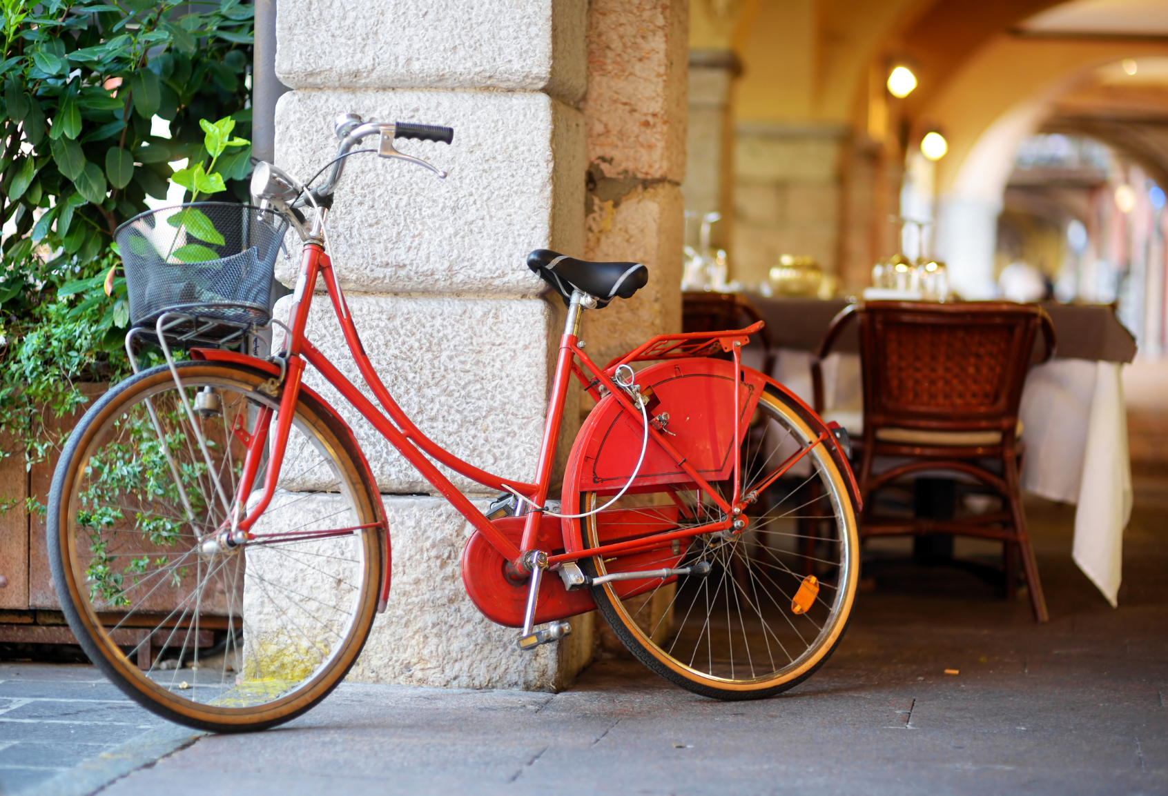 Cycling holiday - Camping Village San Francesco – image 1