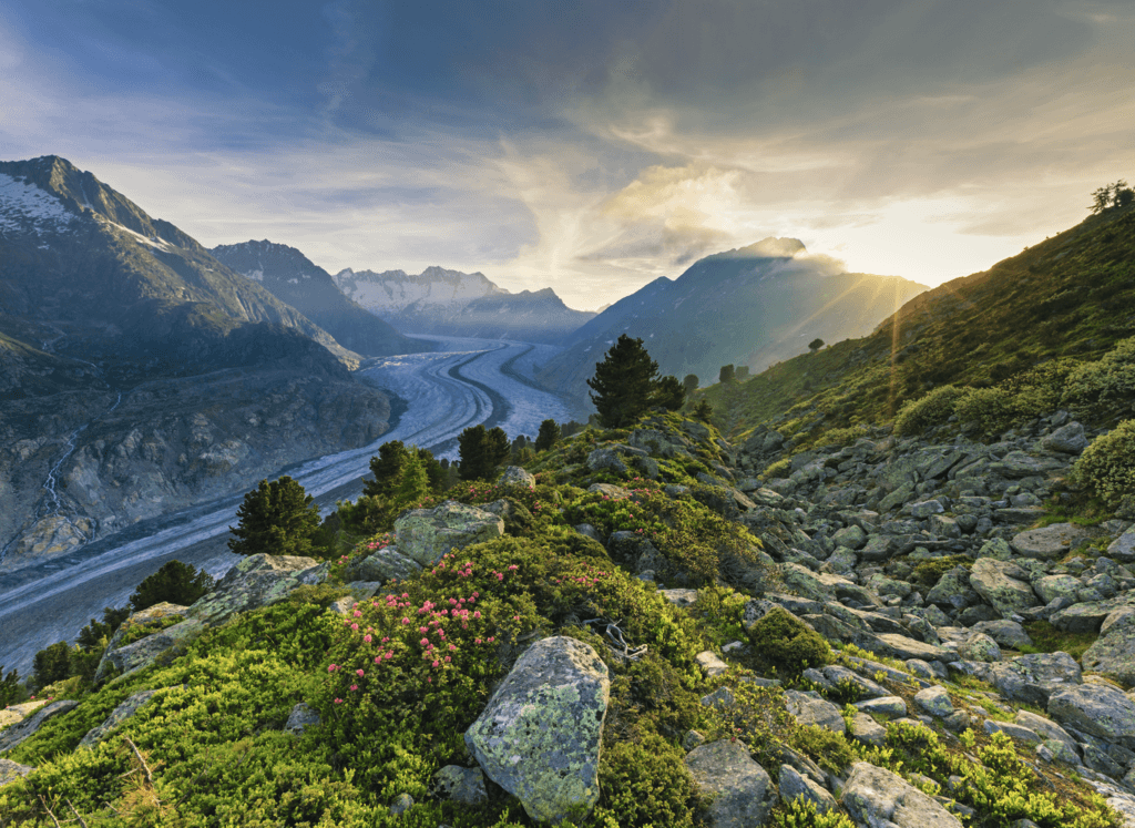 Aletsch Arena - Switzerland for the active – image 1