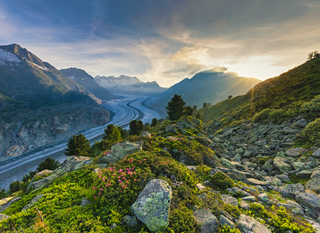 Aletsch Arena - Switzerland for the active – main image