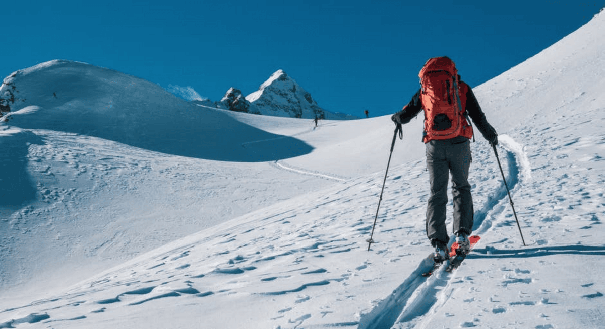 Touring skis for the upcoming winter - the best models of renowned manufacturers – image 1