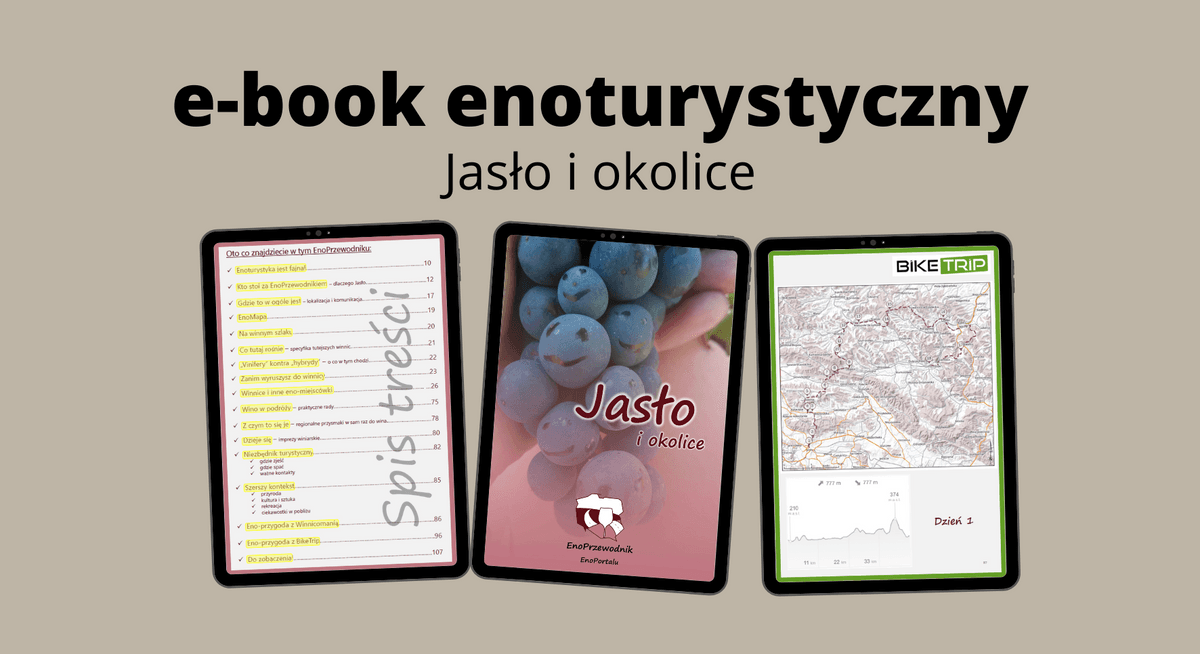 Jasło enotourism e-book and its surroundings – image 1