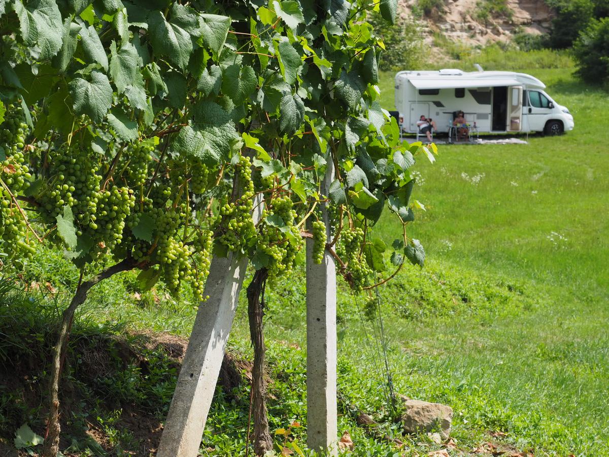 44 Polish vineyards friendly to motorhomes – image 1