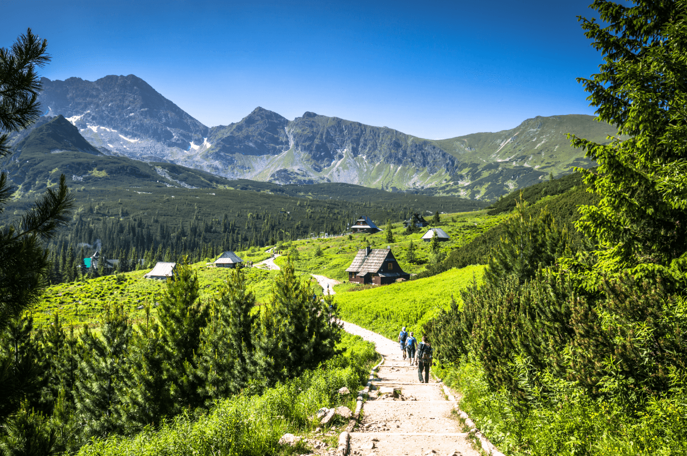Camping - a great idea for a vacation in Zakopane – main image