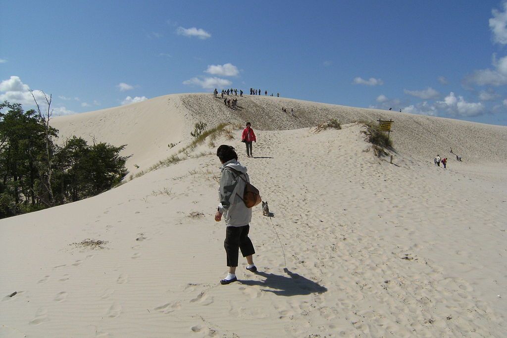 Wandering with the dunes - Łeba – main image
