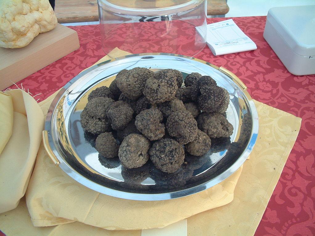 The truffle flavor of Istria – image 1