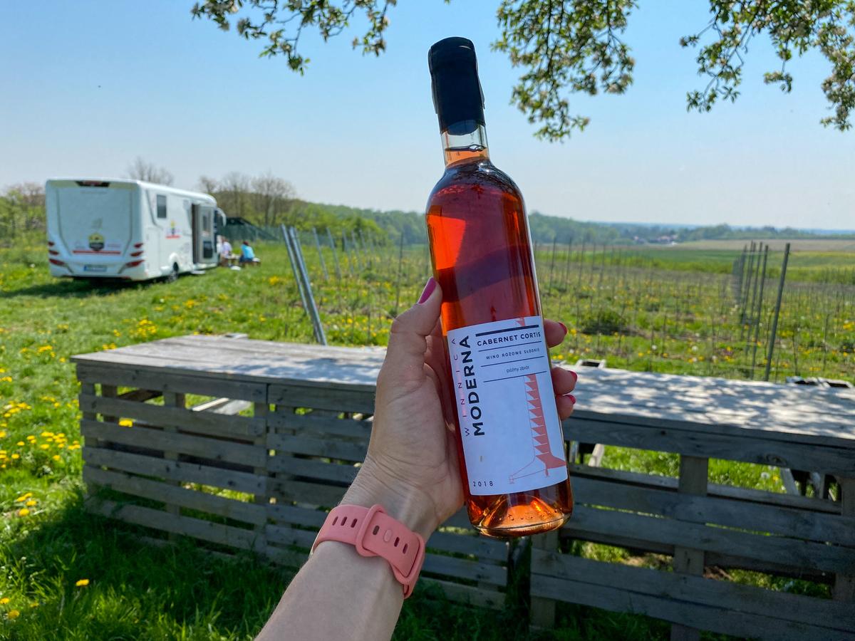 7 vineyards of Lower Silesia that we visited in a motorhome – image 1