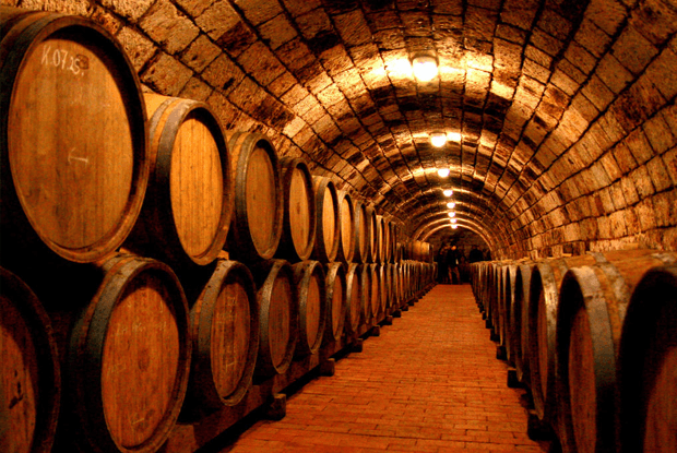 The wine of kings and the king of wines - Tokaj – main image