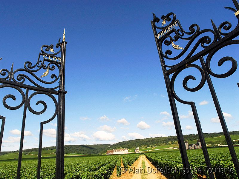 Szlakiem czerwonego wina – serce Burgundii – główne zdjęcie