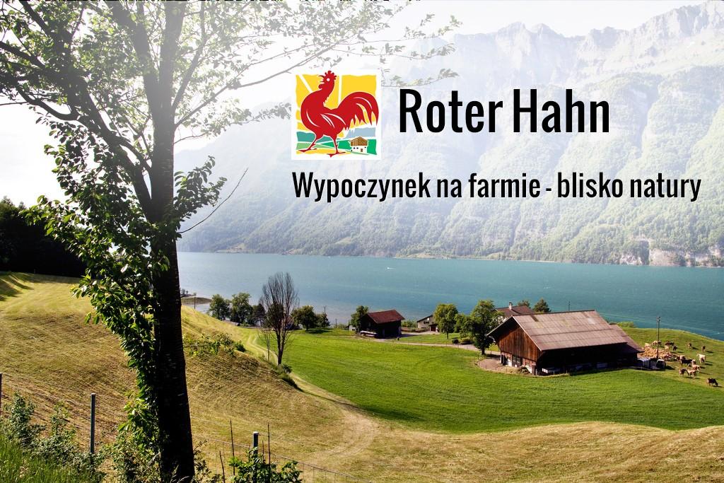 Wypoczynek na farmie w Tyrolu - oferta Roter Hahn – zdjęcie 1