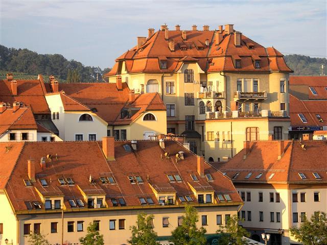For a glass of wine to Maribor – image 1