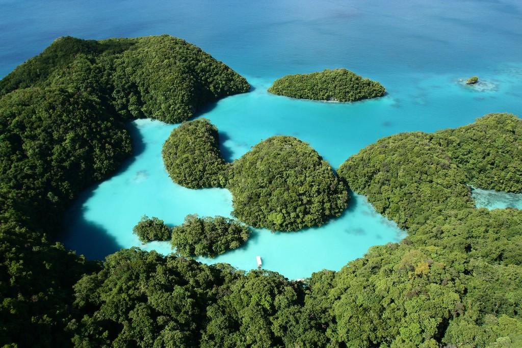 Diving in Palau – image 1
