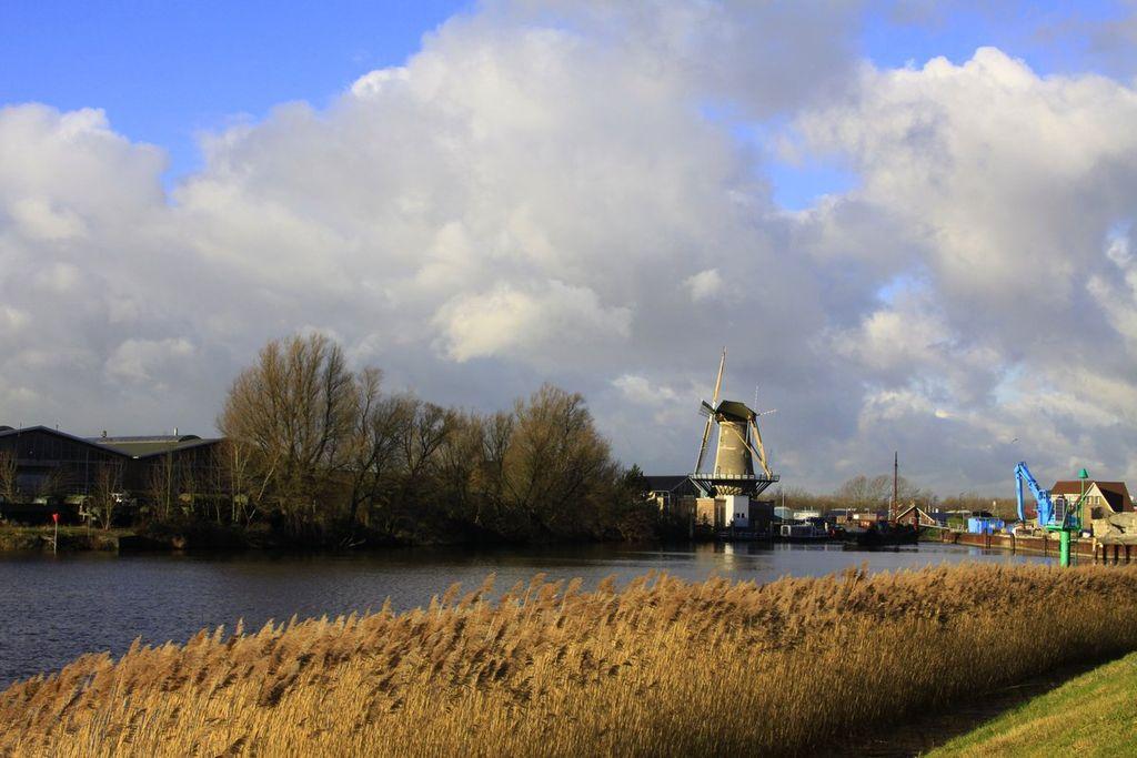 Złapać doła w Holandii – zdjęcie 1