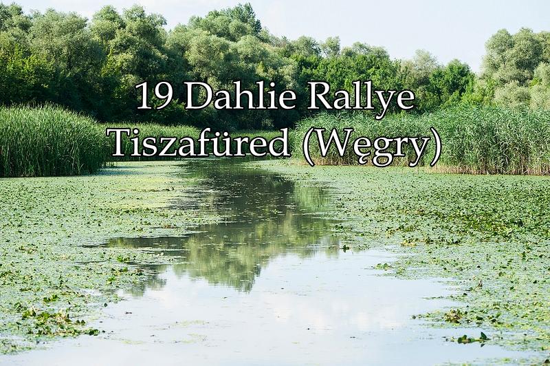 19 Dahlie Rallye - Tiszafüred (Węgry) – zdjęcie 1