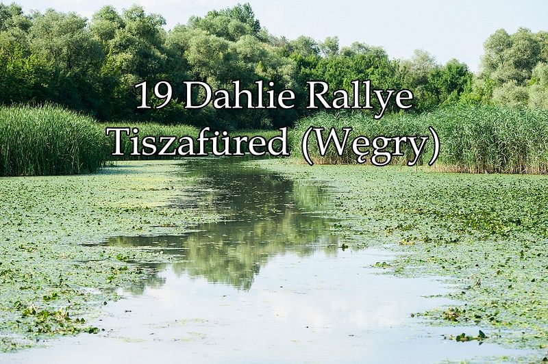 19 Dahlie Rallye - Tiszafüred (Węgry) – główne zdjęcie