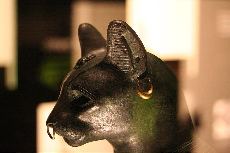 Dom Bastet, czyli kolebka kultu kota – zdjęcie 1