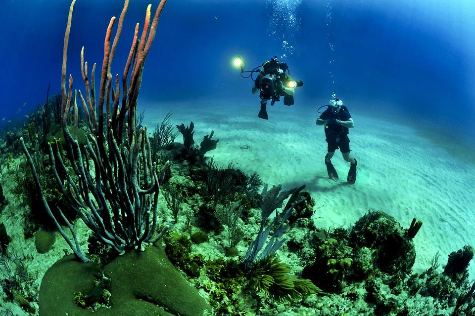 Underwater Istria – image 1